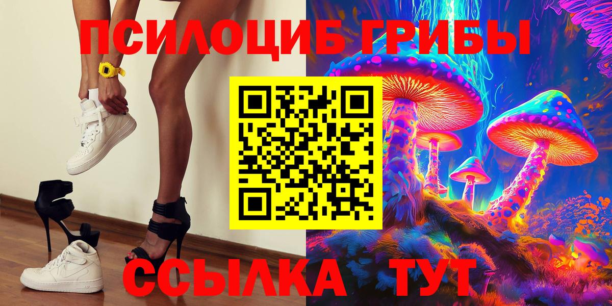 Псилоцибиновые грибы Psilocybe Алейск